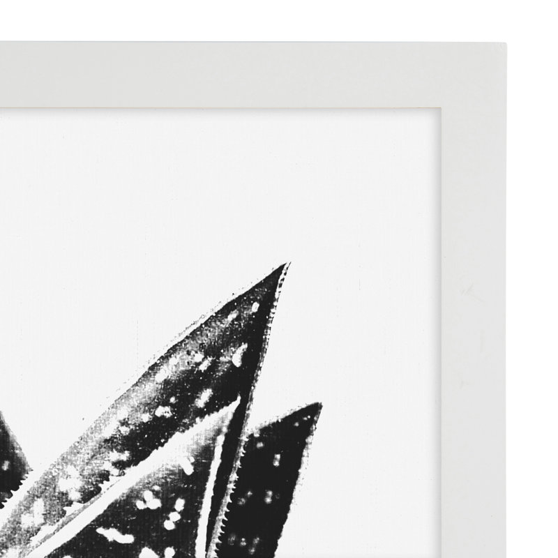 Ensemble de cadres muraux en bois Creason, Blanc, 11 po x 17 po, Paquet de 4
