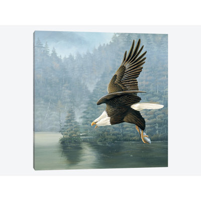 " Flying Eagle " by Jan Weenink