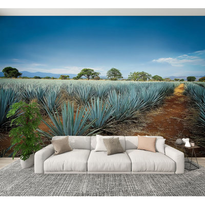 Peel and Stick Wallpaper Agave tequila landscape to Guadalajara Jalisco Mexico Wall Murals 100"H x 144"W Removable PVC Wall Paper Self-Adhesive Wall Paintings Art Decor for Bedroom Living Room
