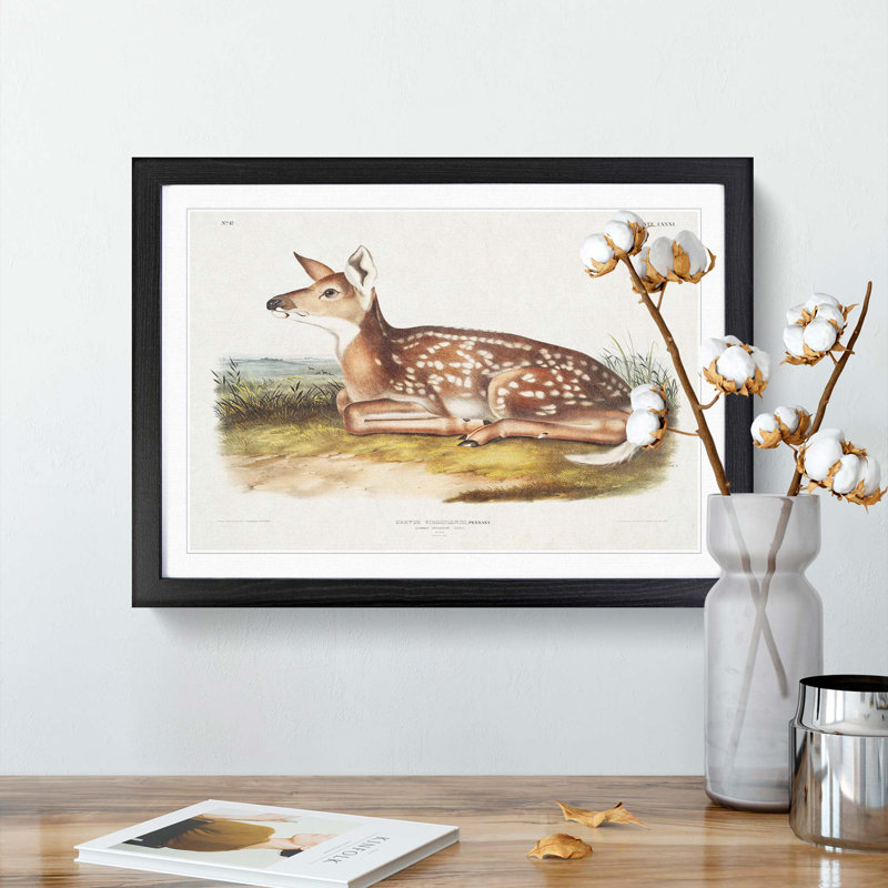American Deer by J.W. Audubon - Single Picture Frame Painting, 24cm H x 33cm W x 2cm D, Black Framed