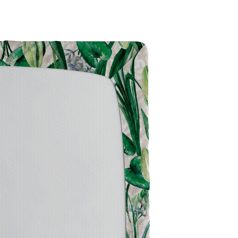 Drap-housse Ambesonne, Drap-housse de taille très grand