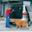 Caisse pour animaux-838702788