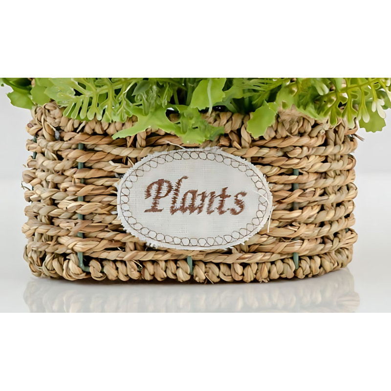 Composition d'assortiment mixte, Mauve clair