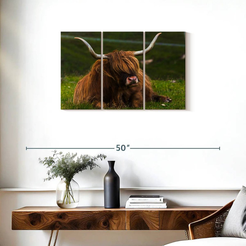 Brampt Highland Cow sur herbe, H 20 po x l 33 po