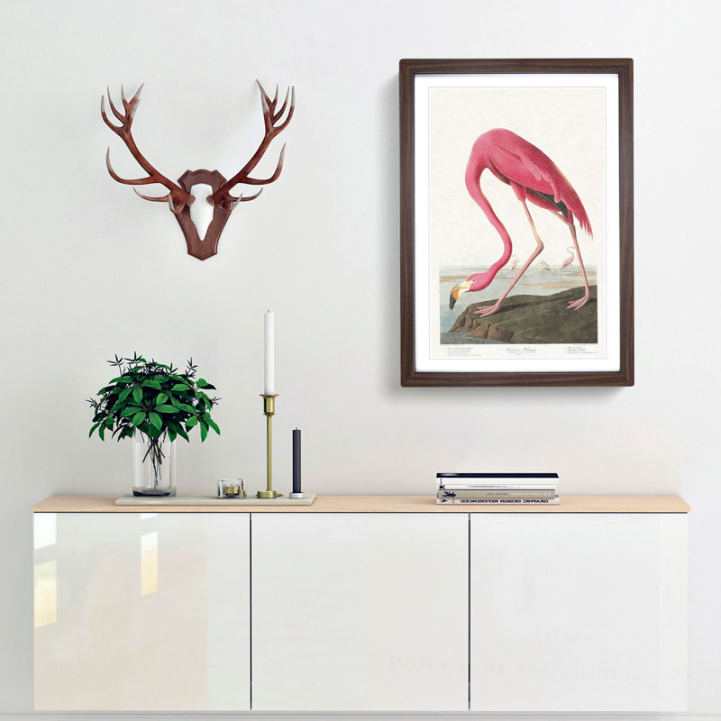 Pink Flamingo by John Audubon - Picture Frame Painting Print, 36cm H x 27cm W x 2cm D, Walnut Framed