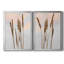 Danita Delimont - ensemble de 2 reproductions de photos-442514273-442514280-442514285