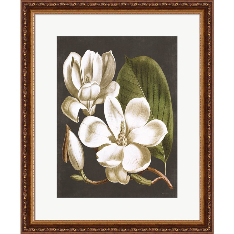 " Magnolia " by Lettered & Lined