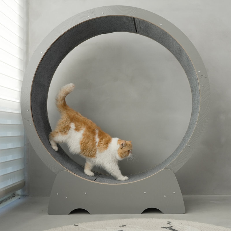 Denora 45'' Large Cat Running Wheel Treadmill, Gray