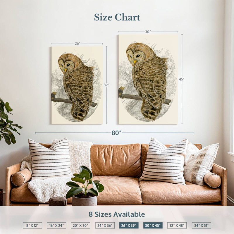 Brampt Barred Owl II, 39" H x 26" W