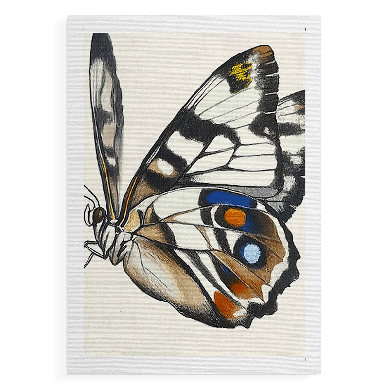 ANIMAUX Series CCGL III - Impression sur toile seulement - NON CADRE, H 48 po x l 32 po