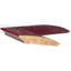 Miroir Elite-63624163-63626862