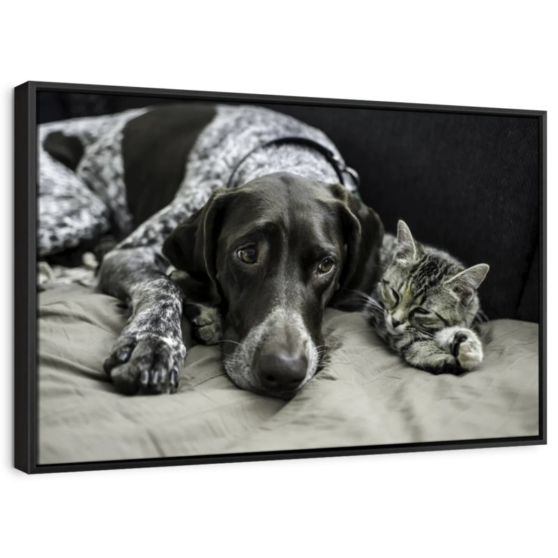 Animal «Dog and Cat Friends Wall Art», H 21 po x l 31 po