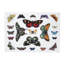 Portmeirion, Botanic Garden Harmony - Placemat