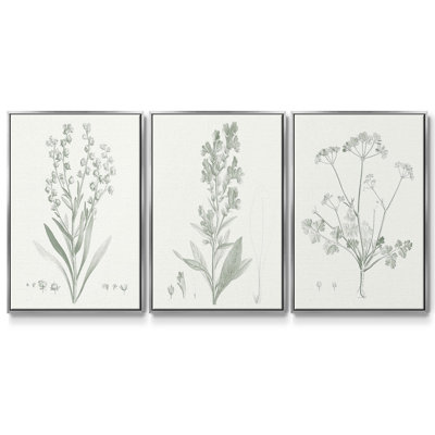 Étude botanique en sauge I 3 pièces