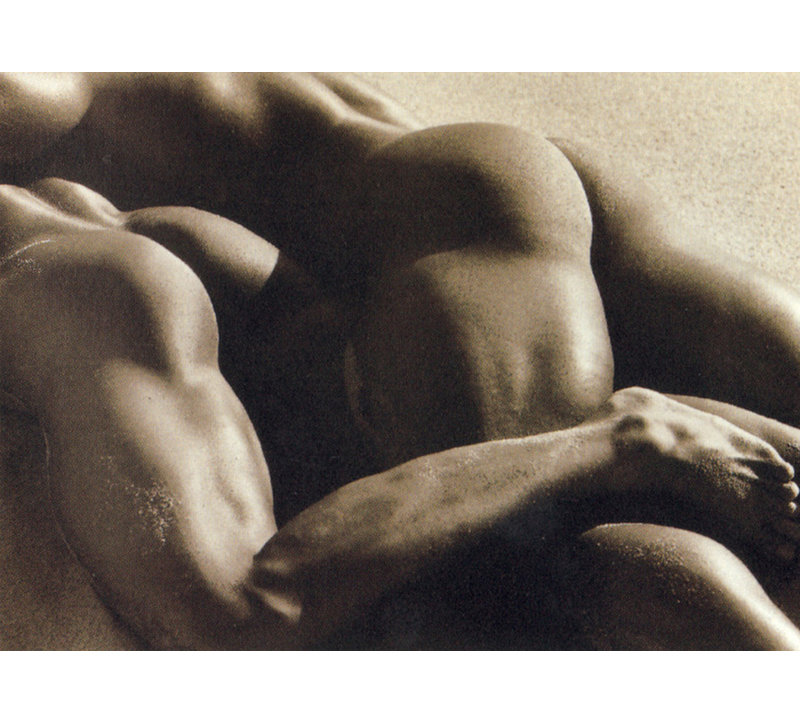 Duo IV, Mexique 1990, H 28 po x l 39 po