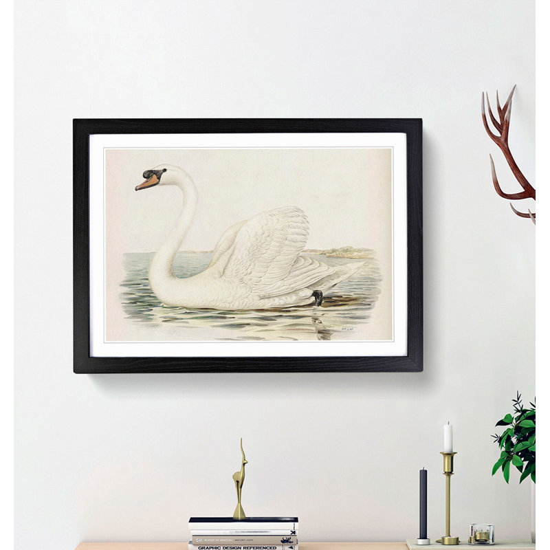 White Swan by Von Wright - Framed Print, 48cm H x 65cm W x 2cm D, Black Framed