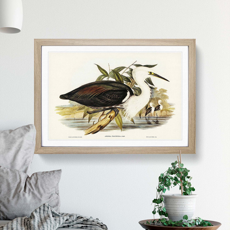Pacific Herons by Elizabeth Gould - Picture Frame Painting Print, Oak Framed, 36cm H x 48cm W x 2cm D