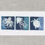 Ensemble de serviettes 3 pièces AVA-2145800081-2055109315
