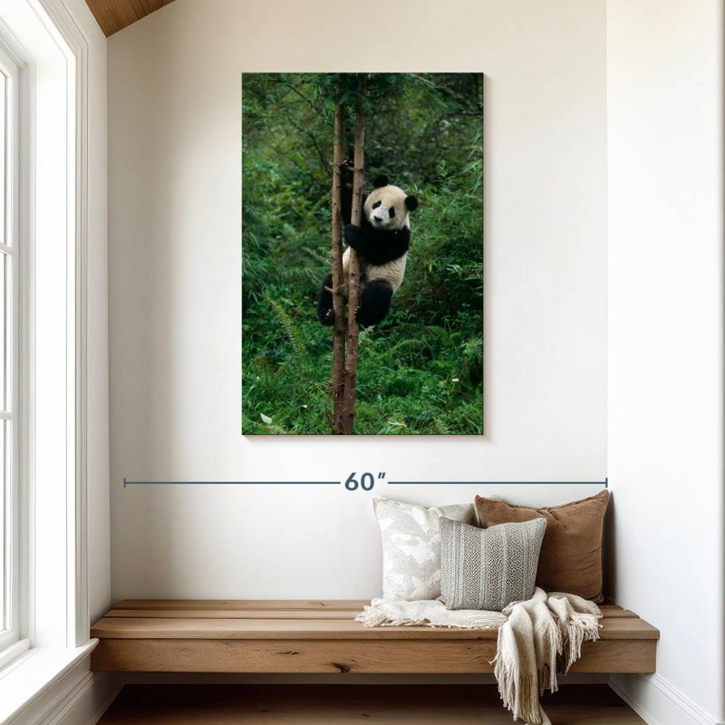 Brampt Climbing Panda, 45" H x 30" W
