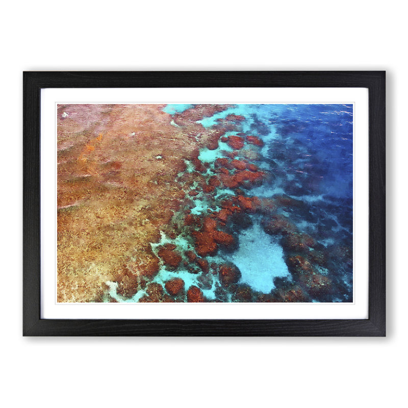 The Great Barrier Reef Coral - Picture Frame Graphic Art, 36cm H x 48cm W x 2cm D, Black