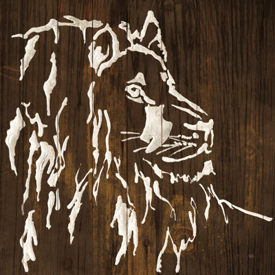 «White Lion on Dark Wood» par Chris Paschke - reproduction d'art sur toile tendue