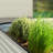 Roede Metal Raised Garden Bed-1839001020-1859407063