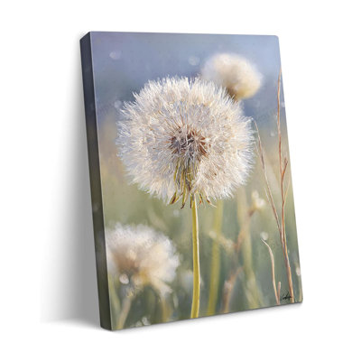 1 Piece Wrapped Canvas Wall Art
