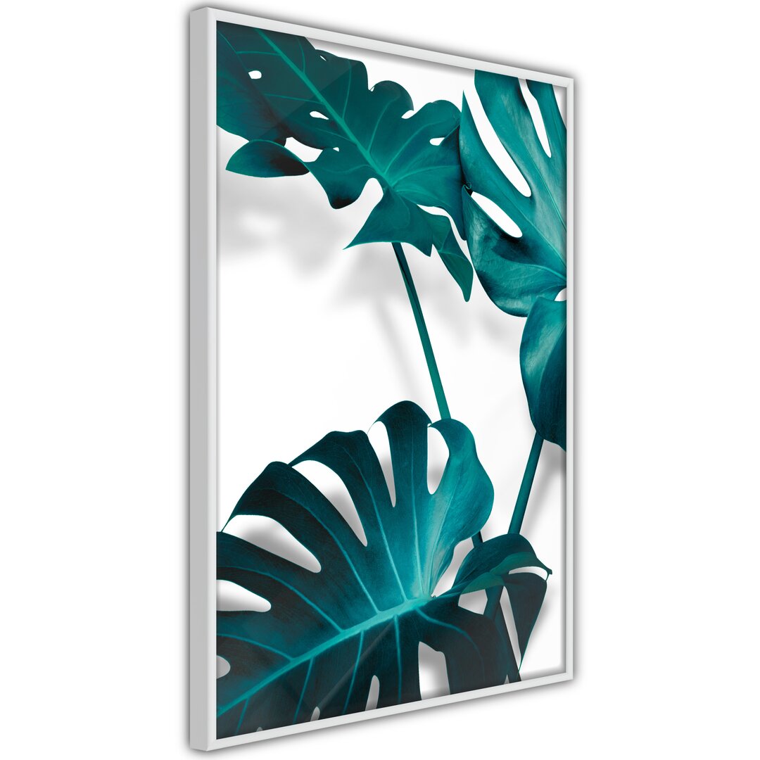 Gerahmtes Poster Turquoise Monstera II