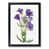 Black Framed selected