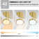 Apolino 42'' Ceiling Fan with LED Lights