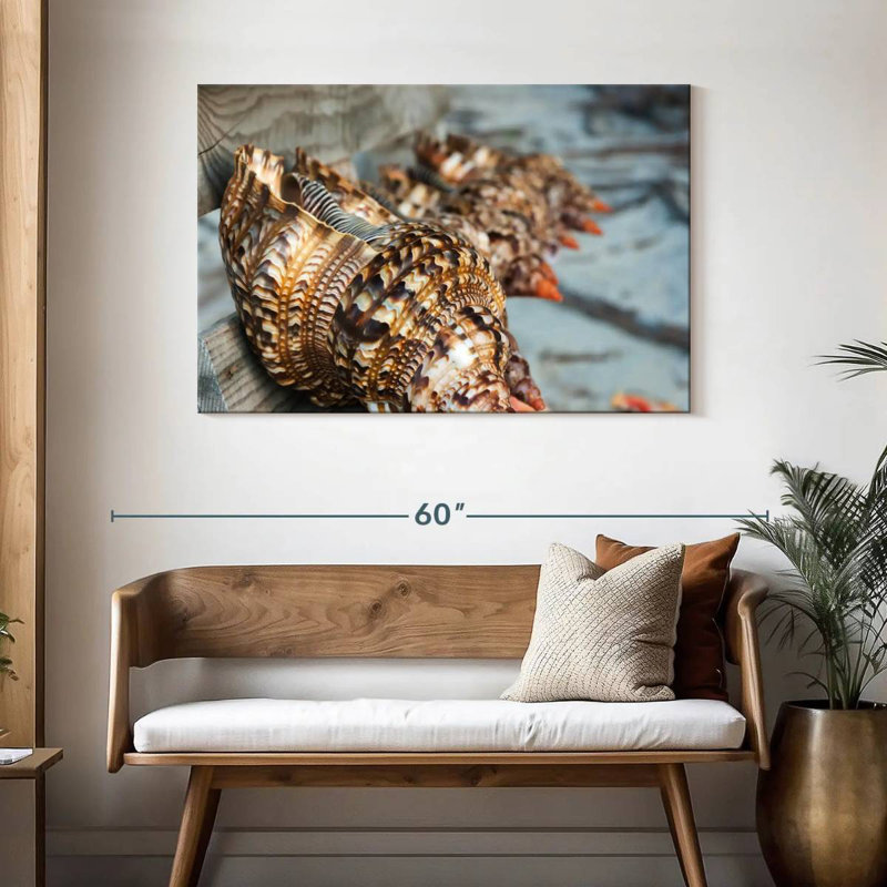Aletra Ocean Shells, 30'' H x 45'' W