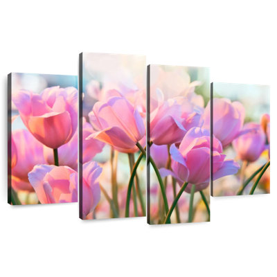 Harnek, belles tulipes roses