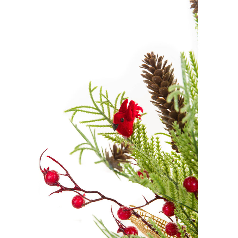 14 plantes