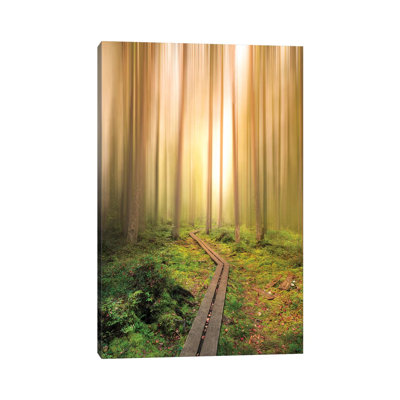 Into The Light by Christian Lindsten - Wrapped Canvas Gallery-Wrapped Canvas Giclée