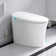 Bulit-in Tank Smart Toilet With Air Dryer, Multiple Wash Function And Night Light(Remote Included)