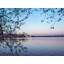 Cherry Blossom Morning On The Tidal Basin Print by Scott Wurzel-132439342-65799298