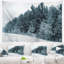 Tapisserie paysage paysage d'hiver foncé-28491548