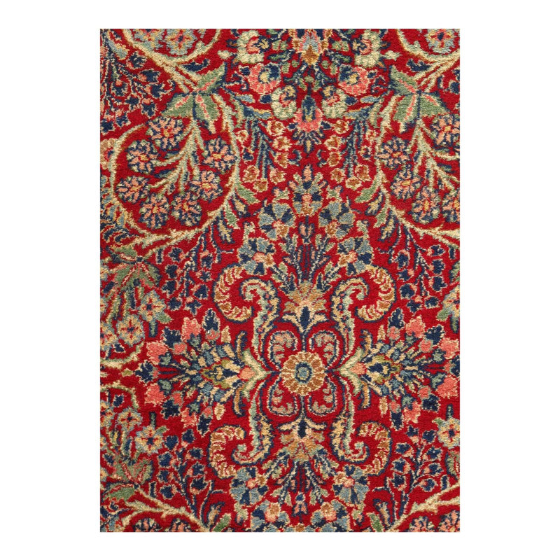 Tapis oriental rouge / vert / bleu en coton noué à la main 3 pi x 5 pi 4 po Mahee