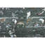 BROKDC161DYMU Oriental Area Rug-81199488