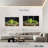 Yarlin Green Grapes-107931525