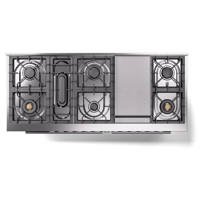 ILVE ProfessionalPlus II 60 Dual Fuel Range, knobs