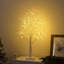 Holiday Lighting