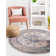 Gause Oriental Indoor Rug