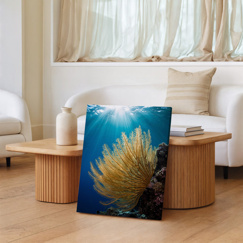 Toile, une scène sous-marine vibrante mettant en vedette une grande formation de corail délicat avec des plumes translucides plumeuses illuminées par l'art mural sur toile