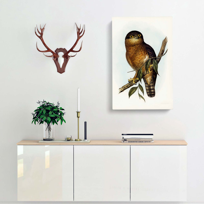 Rufous Owl by Elizabeth Gould - Wrapped Canvas Print, 76cm H x 50cm W x 3cm D