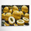 «Fruit Canary Melon», art mural sur toile-2003410814