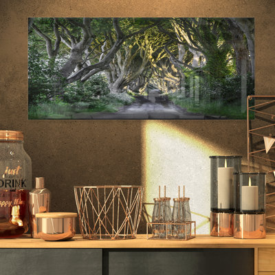 " The Dark Hedges Ireland Landscape "