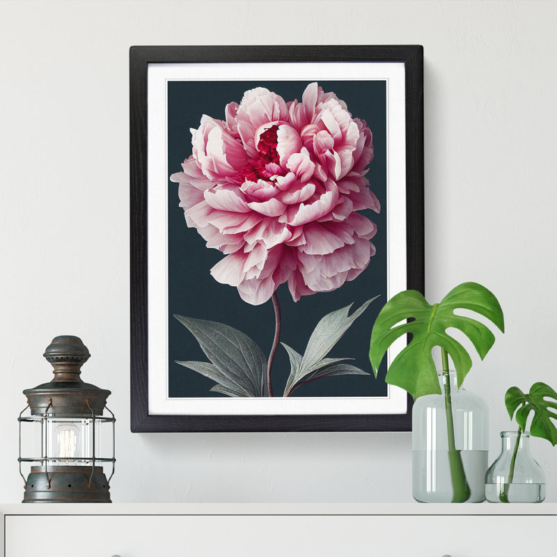 Peony Flower Portrait - Framed Print, Black, 34cm H x 25cm W x 2cm D