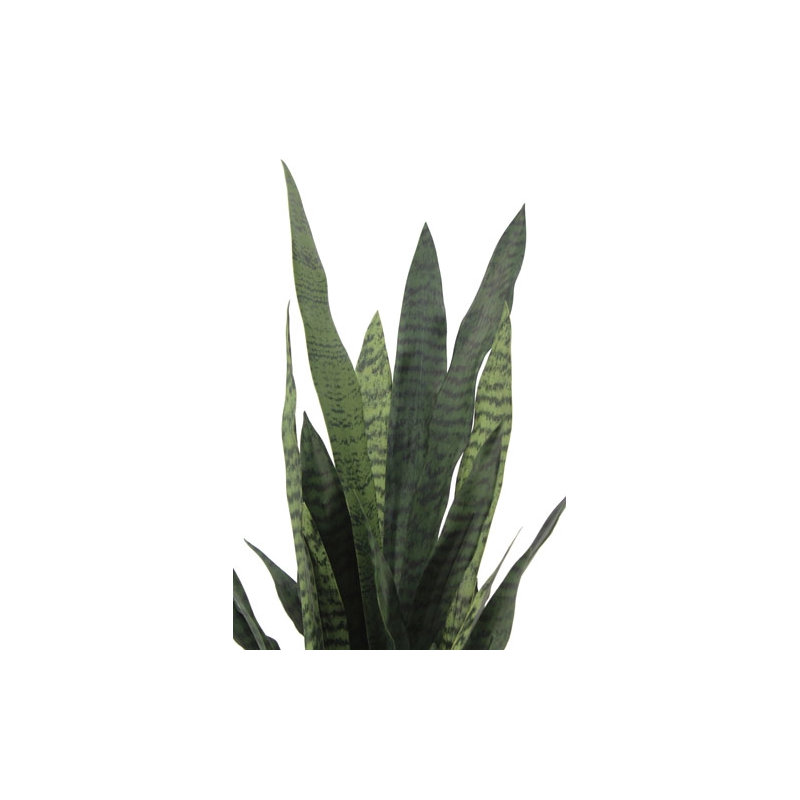 40" Artificial Snake Plant in Black Pot