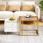 Adamarys Coffee Table with Storage